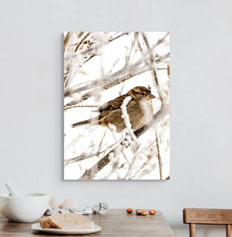 Tablou Canvas, "Vrăbiuță odihnindu-se printre crengi înghețate", Pasăre, Iarnă, Ramuri, Zăpadă, Delicatețe, Frig, Natură, Tandrețe, Supraviețuire, Frumusețe., 50 x 70 cm – poza 3