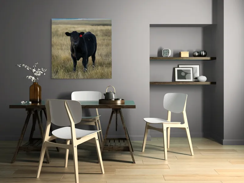 Tablou Canvas, "Vițelul în lumina asfințitului", Negru, Vaci, Prerie, Etichetă, Apus, Câmpii, Iarbă, Singurătate, Siluetă, Culoare, Silențios, 100 x 100 cm – poza 6