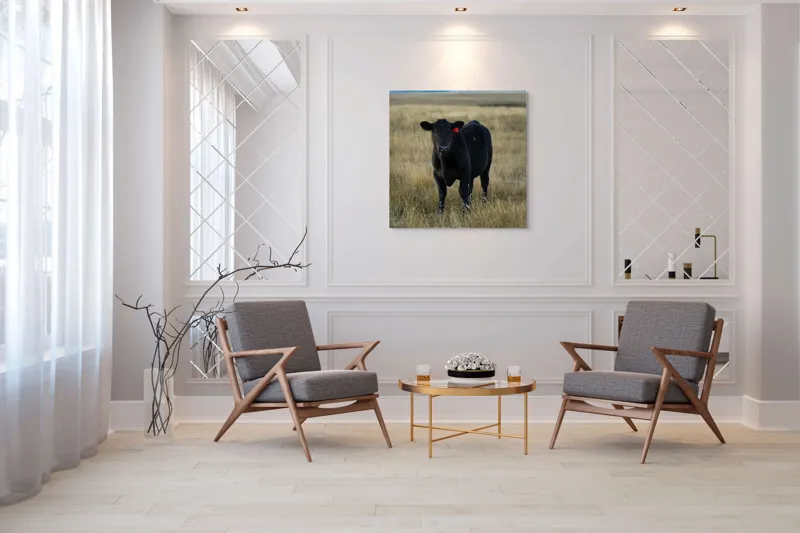 Tablou Canvas, "Vițelul în lumina asfințitului", Negru, Vaci, Prerie, Etichetă, Apus, Câmpii, Iarbă, Singurătate, Siluetă, Culoare, Silențios, 100 x 100 cm – poza 7