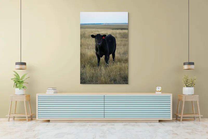 Tablou Canvas, "Vițelul în lumina asfințitului", Negru, Vaci, Prerie, Etichetă, Apus, Câmpii, Iarbă, Singurătate, Siluetă, Culoare, Silențios, 100 x 150 cm – poza 4