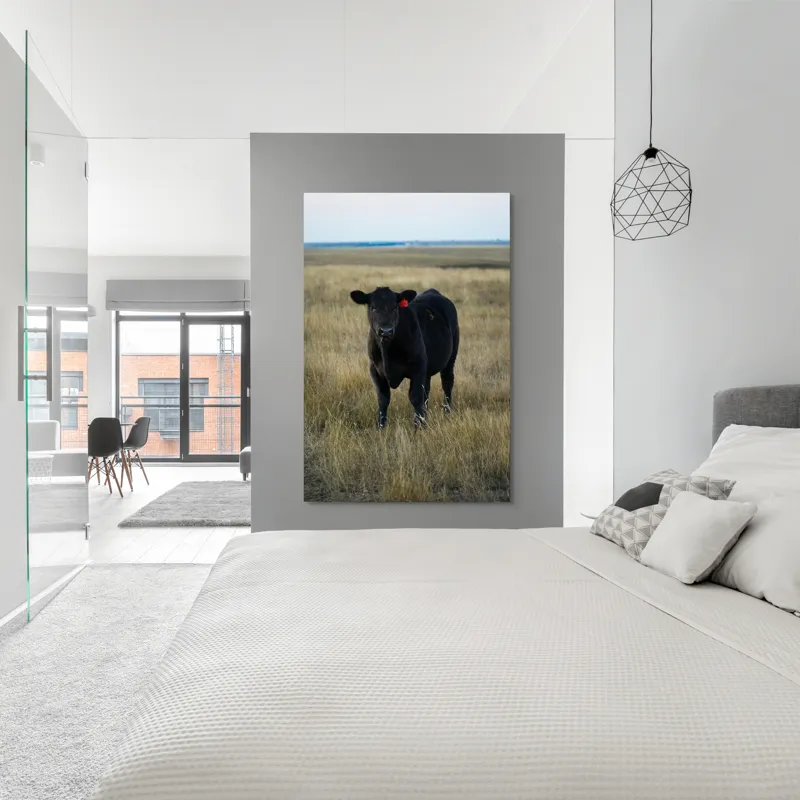 Tablou Canvas, "Vițelul în lumina asfințitului", Negru, Vaci, Prerie, Etichetă, Apus, Câmpii, Iarbă, Singurătate, Siluetă, Culoare, Silențios, 100 x 150 cm – poza 5