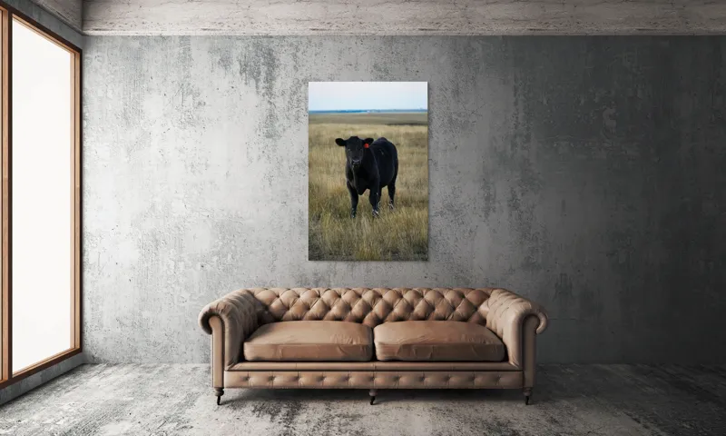 Tablou Canvas, "Vițelul în lumina asfințitului", Negru, Vaci, Prerie, Etichetă, Apus, Câmpii, Iarbă, Singurătate, Siluetă, Culoare, Silențios, 100 x 150 cm – poza 6