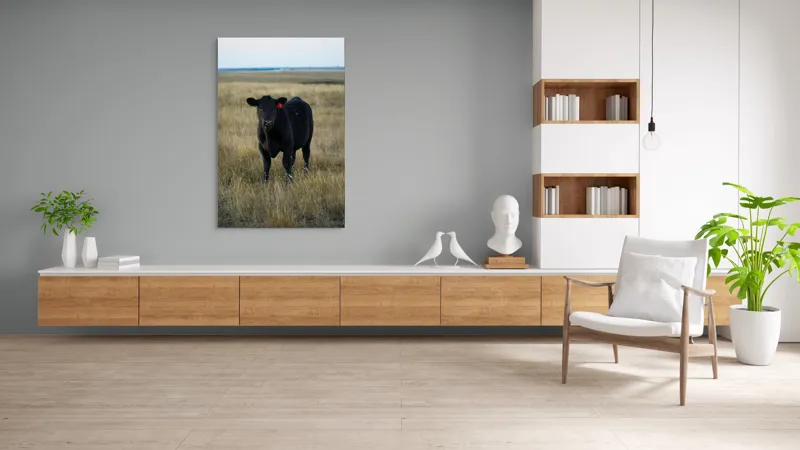 Tablou Canvas, "Vițelul în lumina asfințitului", Negru, Vaci, Prerie, Etichetă, Apus, Câmpii, Iarbă, Singurătate, Siluetă, Culoare, Silențios, 100 x 150 cm – poza 8