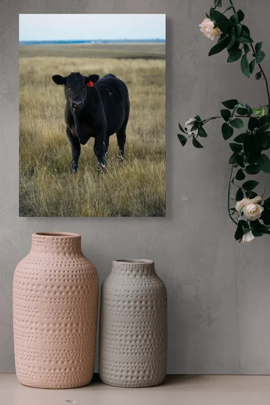 Tablou Canvas, "Vițelul în lumina asfințitului", Negru, Vaci, Prerie, Etichetă, Apus, Câmpii, Iarbă, Singurătate, Siluetă, Culoare, Silențios, 39 x 54 cm – poza 6