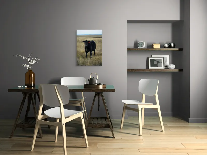 Tablou Canvas, "Vițelul în lumina asfințitului", Negru, Vaci, Prerie, Etichetă, Apus, Câmpii, Iarbă, Singurătate, Siluetă, Culoare, Silențios, 50 x 70 cm – poza 5