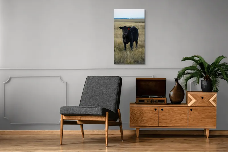 Tablou Canvas, "Vițelul în lumina asfințitului", Negru, Vaci, Prerie, Etichetă, Apus, Câmpii, Iarbă, Singurătate, Siluetă, Culoare, Silențios, 50 x 90 cm – poza 8