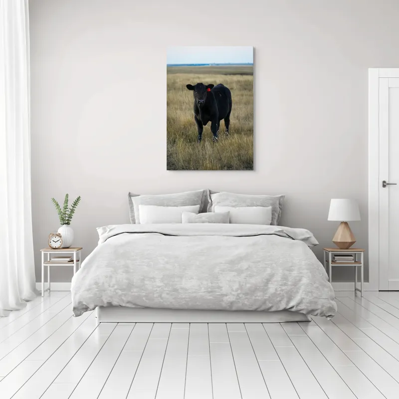 Tablou Canvas, "Vițelul în lumina asfințitului", Negru, Vaci, Prerie, Etichetă, Apus, Câmpii, Iarbă, Singurătate, Siluetă, Culoare, Silențios, 70 x 100 cm – poza 3