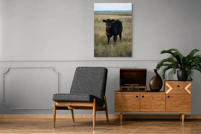 Tablou Canvas, "Vițelul în lumina asfințitului", Negru, Vaci, Prerie, Etichetă, Apus, Câmpii, Iarbă, Singurătate, Siluetă, Culoare, Silențios, 70 x 100 cm – poza 6