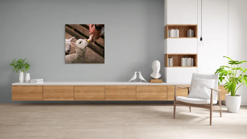 Tablou Canvas, "Mieluț hrănit cu biberonul alb", Miel, Hrănire, Om, Biberon, Grijă, Adăpost, Blană, Îngrijire, 100 x 100 cm – poza 8