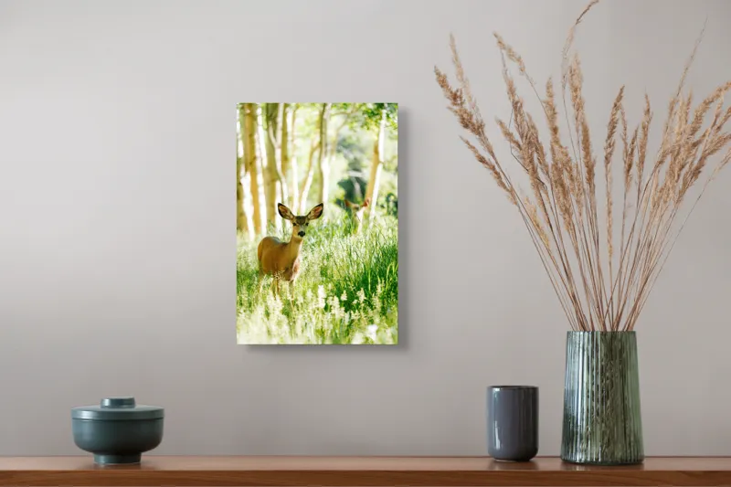 Tablou Canvas, "Caprioara printre mesteceni luminosi", Căprioară, Pădure, Lumină, Iarbă, Copaci, Natură, Serenitate, Verde, Dimineață, 26 x 39 cm – poza 5