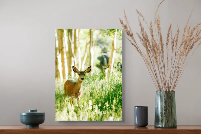 Tablou Canvas, "Caprioara printre mesteceni luminosi", Căprioară, Pădure, Lumină, Iarbă, Copaci, Natură, Serenitate, Verde, Dimineață, 39 x 54 cm – poza 3