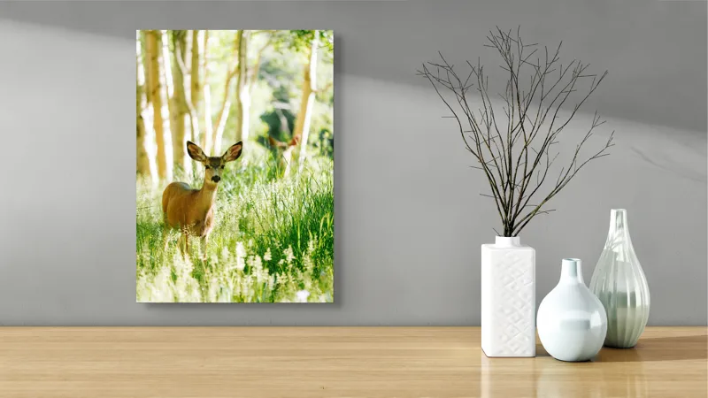 Tablou Canvas, "Caprioara printre mesteceni luminosi", Căprioară, Pădure, Lumină, Iarbă, Copaci, Natură, Serenitate, Verde, Dimineață, 39 x 54 cm – poza 4