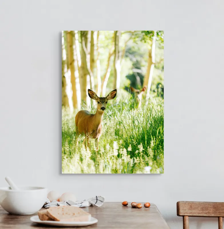 Tablou Canvas, "Caprioara printre mesteceni luminosi", Căprioară, Pădure, Lumină, Iarbă, Copaci, Natură, Serenitate, Verde, Dimineață, 50 x 70 cm – poza 3