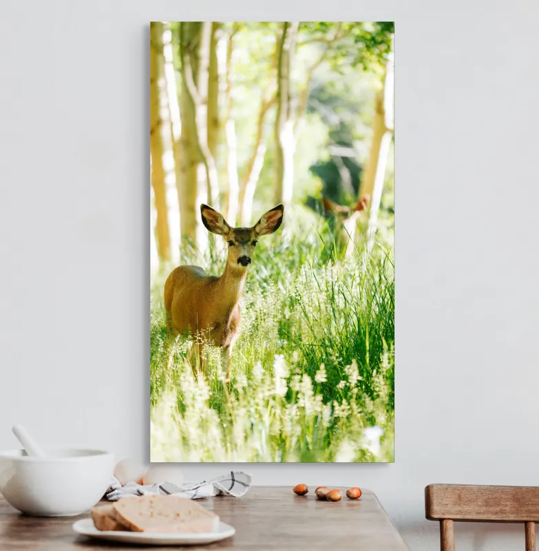 Tablou Canvas, "Caprioara printre mesteceni luminosi", Căprioară, Pădure, Lumină, Iarbă, Copaci, Natură, Serenitate, Verde, Dimineață, 50 x 90 cm – poza 3