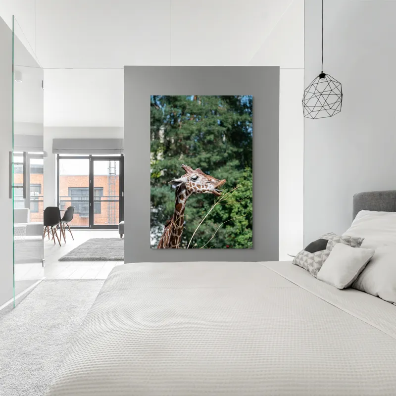 Tablou Canvas, "Girafa savurând hrana sănătoasă", Giraffe, Tree, Leaves, Tall, Nature, Spots, Branches, Green, Wildlife, 100 x 150 cm – poza 5