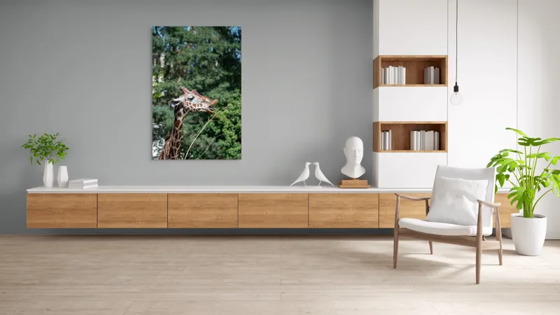 Tablou Canvas, "Girafa savurând hrana sănătoasă", Giraffe, Tree, Leaves, Tall, Nature, Spots, Branches, Green, Wildlife, 100 x 150 cm – poza 8