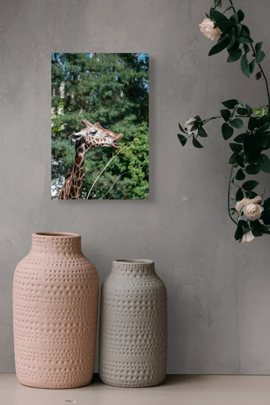 Tablou Canvas, "Girafa savurând hrana sănătoasă", Giraffe, Tree, Leaves, Tall, Nature, Spots, Branches, Green, Wildlife, 26 x 39 cm – poza 6