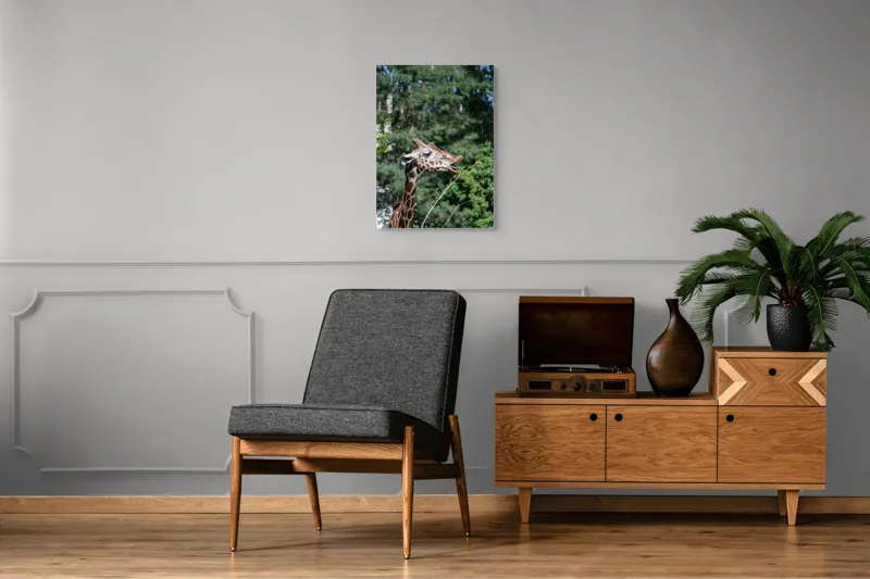 Tablou Canvas, "Girafa savurând hrana sănătoasă", Giraffe, Tree, Leaves, Tall, Nature, Spots, Branches, Green, Wildlife, 50 x 70 cm – poza 8