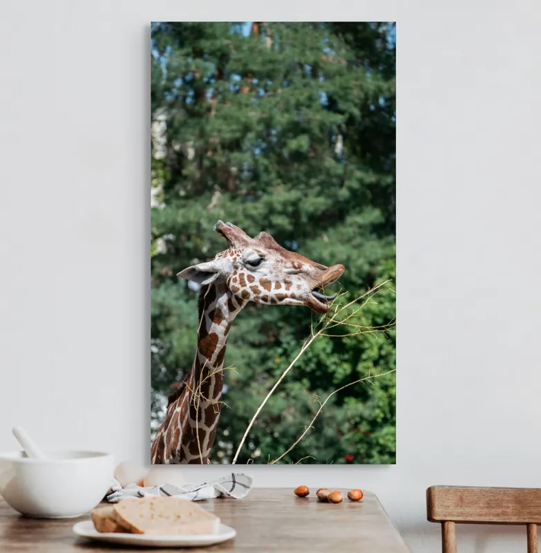 Tablou Canvas, "Girafa savurând hrana sănătoasă", Giraffe, Tree, Leaves, Tall, Nature, Spots, Branches, Green, Wildlife, 50 x 90 cm – poza 3