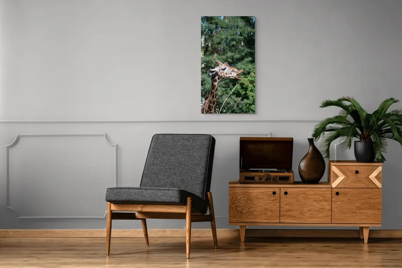 Tablou Canvas, "Girafa savurând hrana sănătoasă", Giraffe, Tree, Leaves, Tall, Nature, Spots, Branches, Green, Wildlife, 50 x 90 cm – poza 8