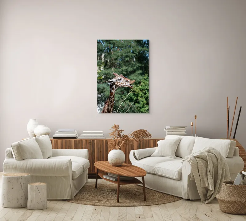 Tablou Canvas, "Girafa savurând hrana sănătoasă", Giraffe, Tree, Leaves, Tall, Nature, Spots, Branches, Green, Wildlife, 70 x 100 cm – poza 4