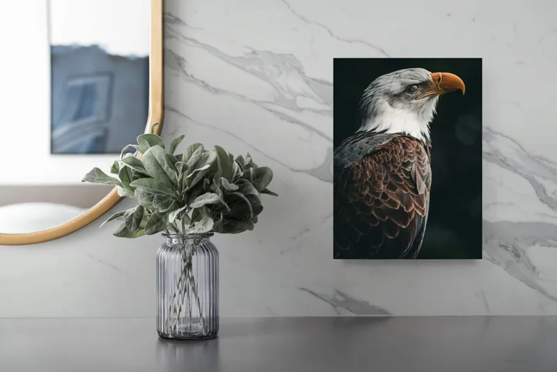 Tablou Canvas, "Privirea vulturului majestic în zare", Majestic, Regal, Proud, Intense, Vigilant, Powerful, Commanding, Noble, Graceful, 26 x 39 cm – poza 4