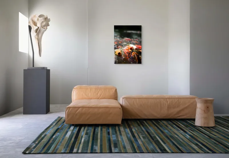 Tablou Canvas, "Dansul vibrant al peștilor Koi", Pești, Apă, Culori, Mișcare, Reflexie, Natură, Lumină, Energie, Viață, 50 x 70 cm – poza 7