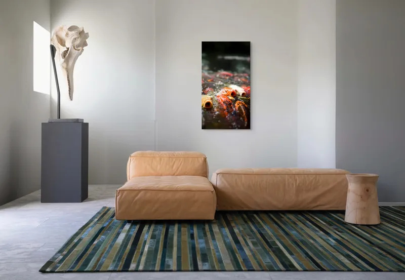 Tablou Canvas, "Dansul vibrant al peștilor Koi", Pești, Apă, Culori, Mișcare, Reflexie, Natură, Lumină, Energie, Viață, 50 x 90 cm – poza 5