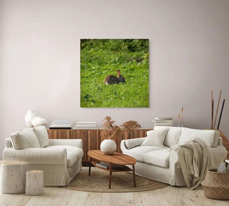 Tablou Canvas, "Iepurașul singuratic pe pajiștea verde", Iepuraș, Verdeață, Natură, Calm, Libertate., 100 x 100 cm – poza 3