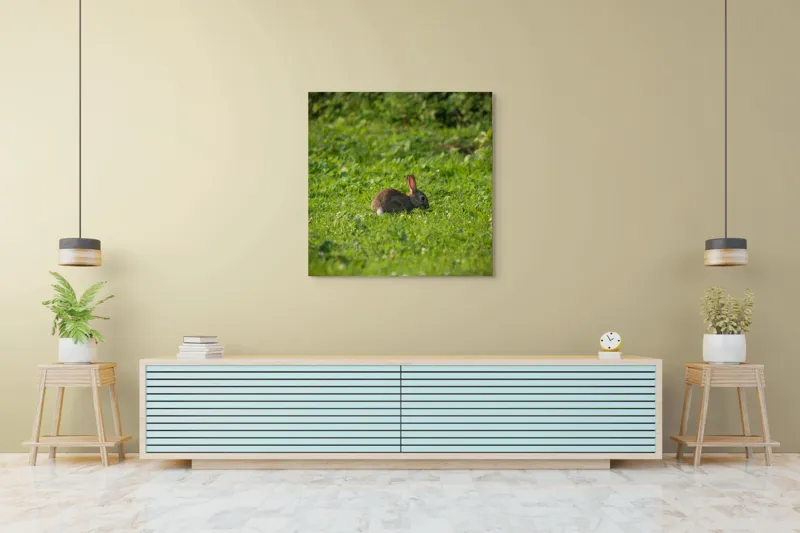 Tablou Canvas, "Iepurașul singuratic pe pajiștea verde", Iepuraș, Verdeață, Natură, Calm, Libertate., 100 x 100 cm – poza 5