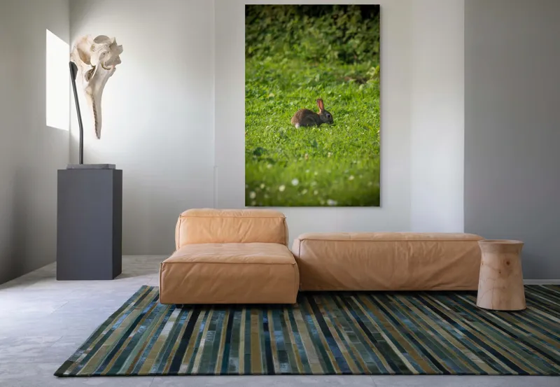 Tablou Canvas, "Iepurașul singuratic pe pajiștea verde", Iepuraș, Verdeață, Natură, Calm, Libertate., 100 x 150 cm – poza 7