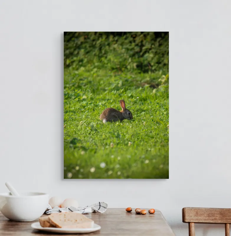 Tablou Canvas, "Iepurașul singuratic pe pajiștea verde", Iepuraș, Verdeață, Natură, Calm, Libertate., 50 x 70 cm – poza 3