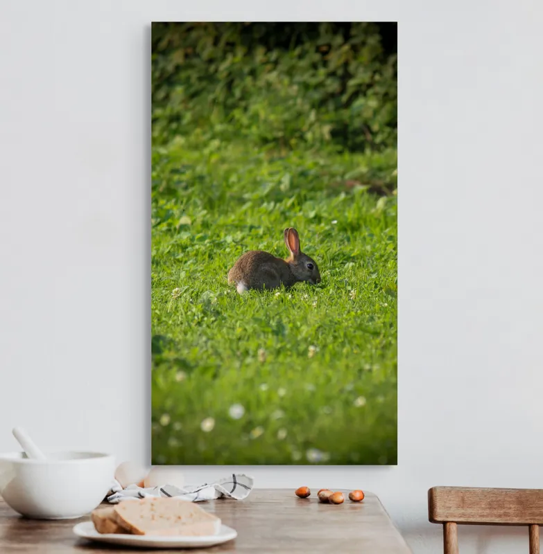 Tablou Canvas, "Iepurașul singuratic pe pajiștea verde", Iepuraș, Verdeață, Natură, Calm, Libertate., 50 x 90 cm – poza 3
