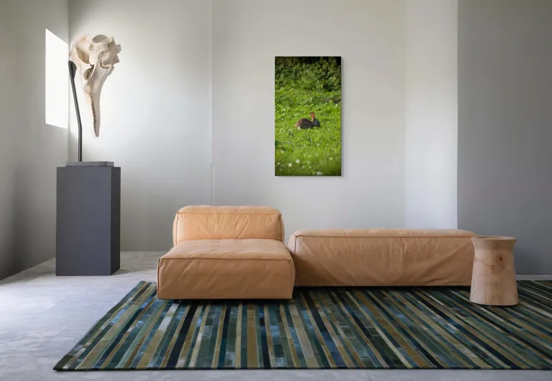 Tablou Canvas, "Iepurașul singuratic pe pajiștea verde", Iepuraș, Verdeață, Natură, Calm, Libertate., 50 x 90 cm – poza 5