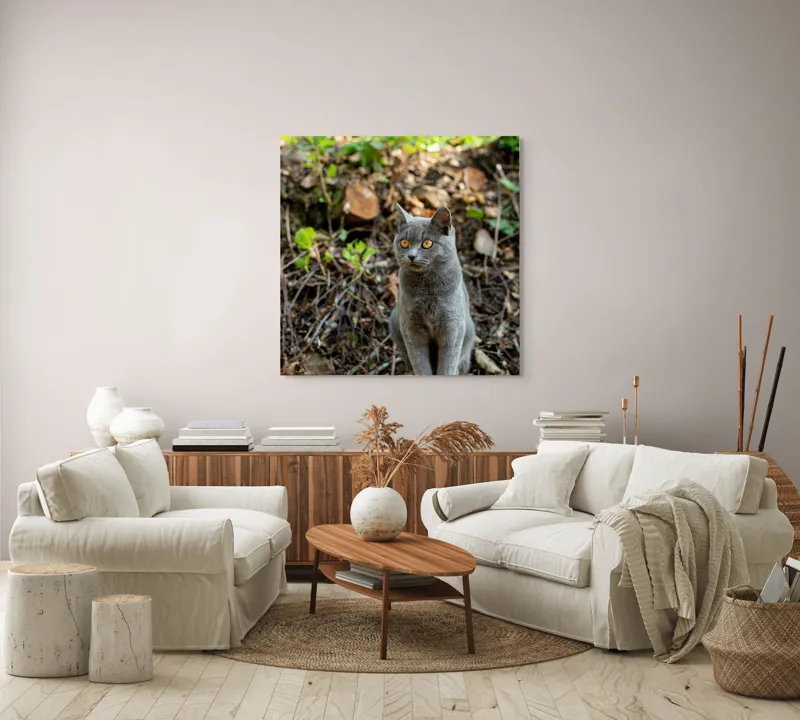 Tablou Canvas, "Pisică gri în pădurea însorită", Pisică, Gri, Ochii-Maronii, Pădure, Natură, Curiozitate, Postură, Blană-Moale, Lumina, Fundal-Verde., 100 x 100 cm – poza 3