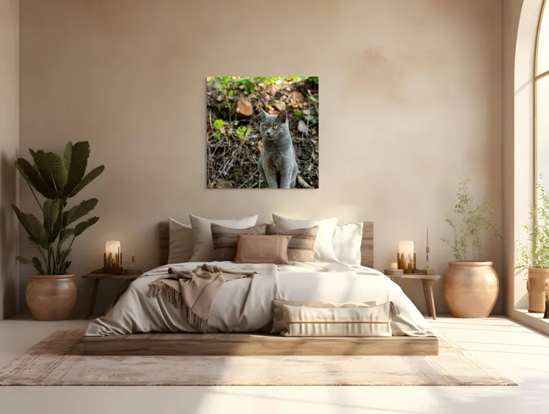 Tablou Canvas, "Pisică gri în pădurea însorită", Pisică, Gri, Ochii-Maronii, Pădure, Natură, Curiozitate, Postură, Blană-Moale, Lumina, Fundal-Verde., 100 x 100 cm – poza 4