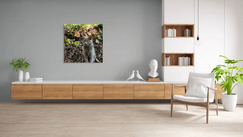 Tablou Canvas, "Pisică gri în pădurea însorită", Pisică, Gri, Ochii-Maronii, Pădure, Natură, Curiozitate, Postură, Blană-Moale, Lumina, Fundal-Verde., 100 x 100 cm – poza 8