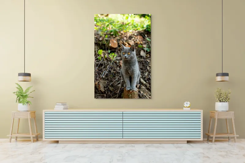 Tablou Canvas, "Pisică gri în pădurea însorită", Pisică, Gri, Ochii-Maronii, Pădure, Natură, Curiozitate, Postură, Blană-Moale, Lumina, Fundal-Verde., 100 x 150 cm – poza 4