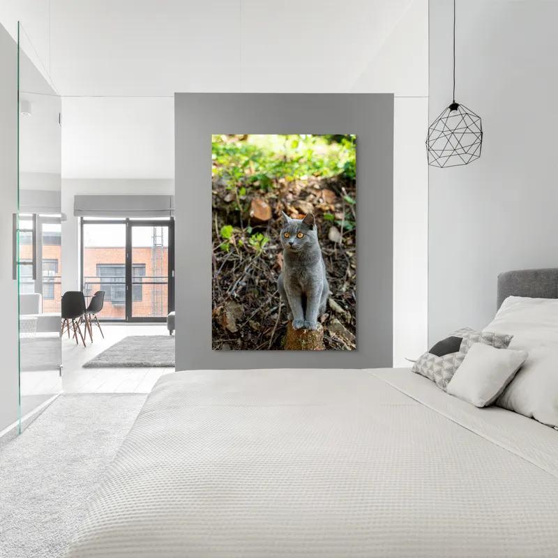 Tablou Canvas, "Pisică gri în pădurea însorită", Pisică, Gri, Ochii-Maronii, Pădure, Natură, Curiozitate, Postură, Blană-Moale, Lumina, Fundal-Verde., 100 x 150 cm – poza 5