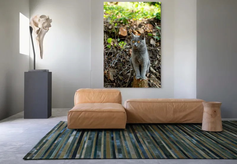 Tablou Canvas, "Pisică gri în pădurea însorită", Pisică, Gri, Ochii-Maronii, Pădure, Natură, Curiozitate, Postură, Blană-Moale, Lumina, Fundal-Verde., 100 x 150 cm – poza 7