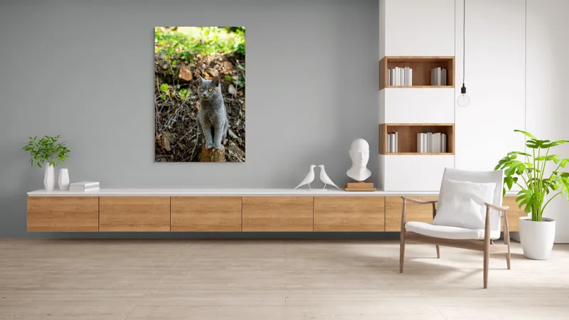 Tablou Canvas, "Pisică gri în pădurea însorită", Pisică, Gri, Ochii-Maronii, Pădure, Natură, Curiozitate, Postură, Blană-Moale, Lumina, Fundal-Verde., 100 x 150 cm – poza 8