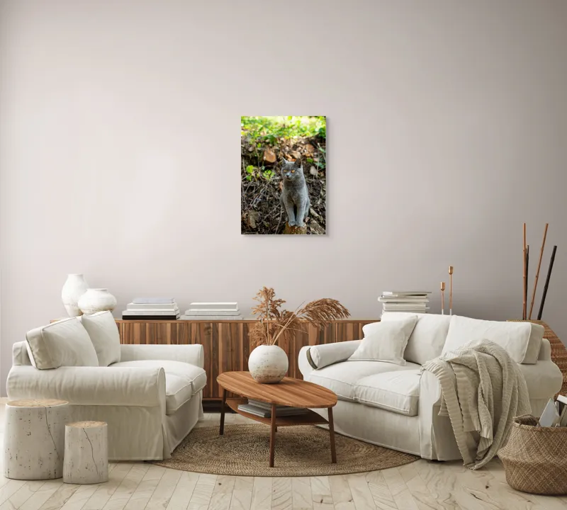 Tablou Canvas, "Pisică gri în pădurea însorită", Pisică, Gri, Ochii-Maronii, Pădure, Natură, Curiozitate, Postură, Blană-Moale, Lumina, Fundal-Verde., 50 x 70 cm – poza 4