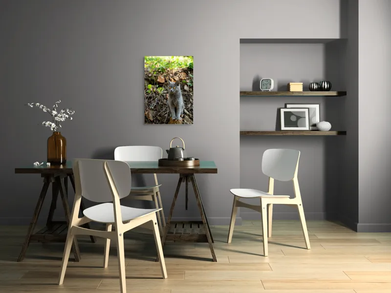 Tablou Canvas, "Pisică gri în pădurea însorită", Pisică, Gri, Ochii-Maronii, Pădure, Natură, Curiozitate, Postură, Blană-Moale, Lumina, Fundal-Verde., 50 x 70 cm – poza 5