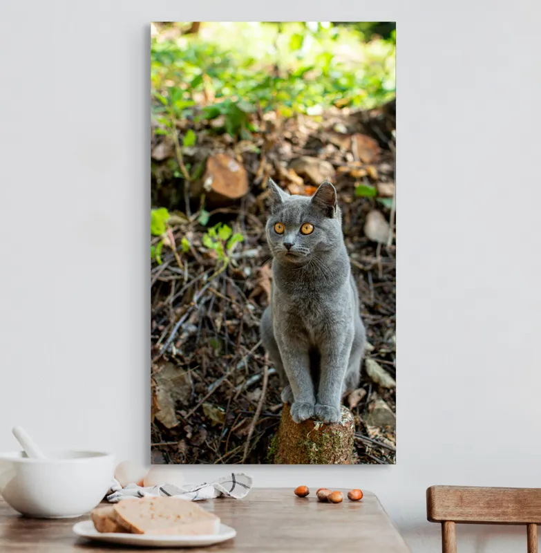 Tablou Canvas, "Pisică gri în pădurea însorită", Pisică, Gri, Ochii-Maronii, Pădure, Natură, Curiozitate, Postură, Blană-Moale, Lumina, Fundal-Verde., 50 x 90 cm – poza 3