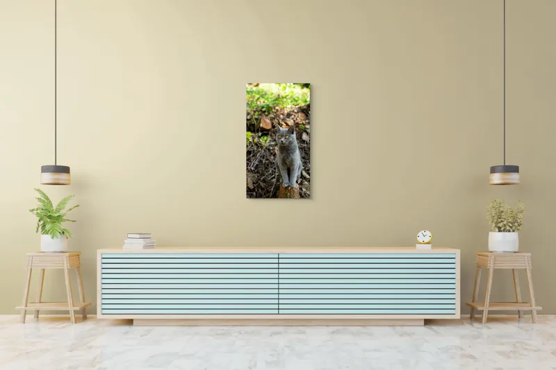 Tablou Canvas, "Pisică gri în pădurea însorită", Pisică, Gri, Ochii-Maronii, Pădure, Natură, Curiozitate, Postură, Blană-Moale, Lumina, Fundal-Verde., 50 x 90 cm – poza 6