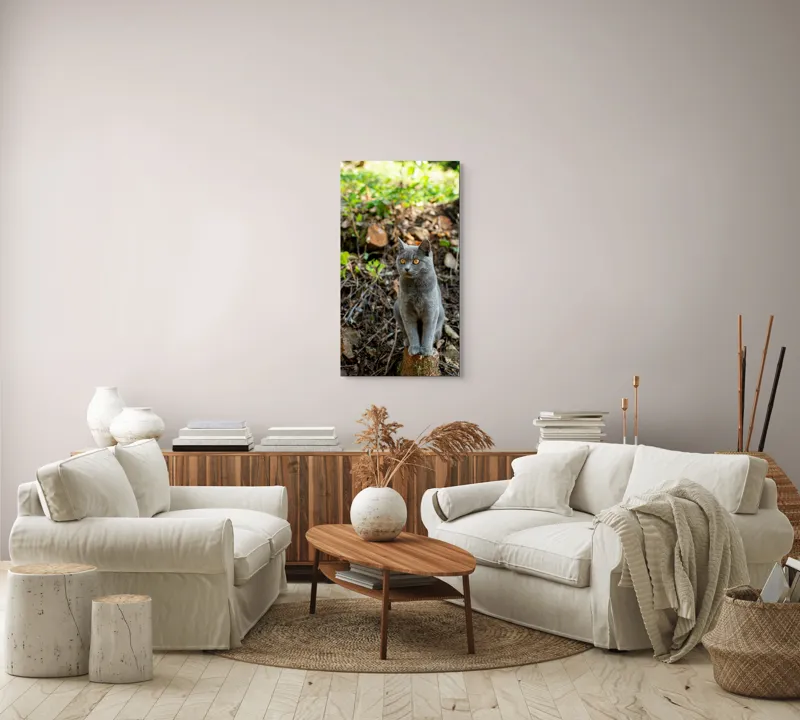 Tablou Canvas, "Pisică gri în pădurea însorită", Pisică, Gri, Ochii-Maronii, Pădure, Natură, Curiozitate, Postură, Blană-Moale, Lumina, Fundal-Verde., 50 x 90 cm – poza 7