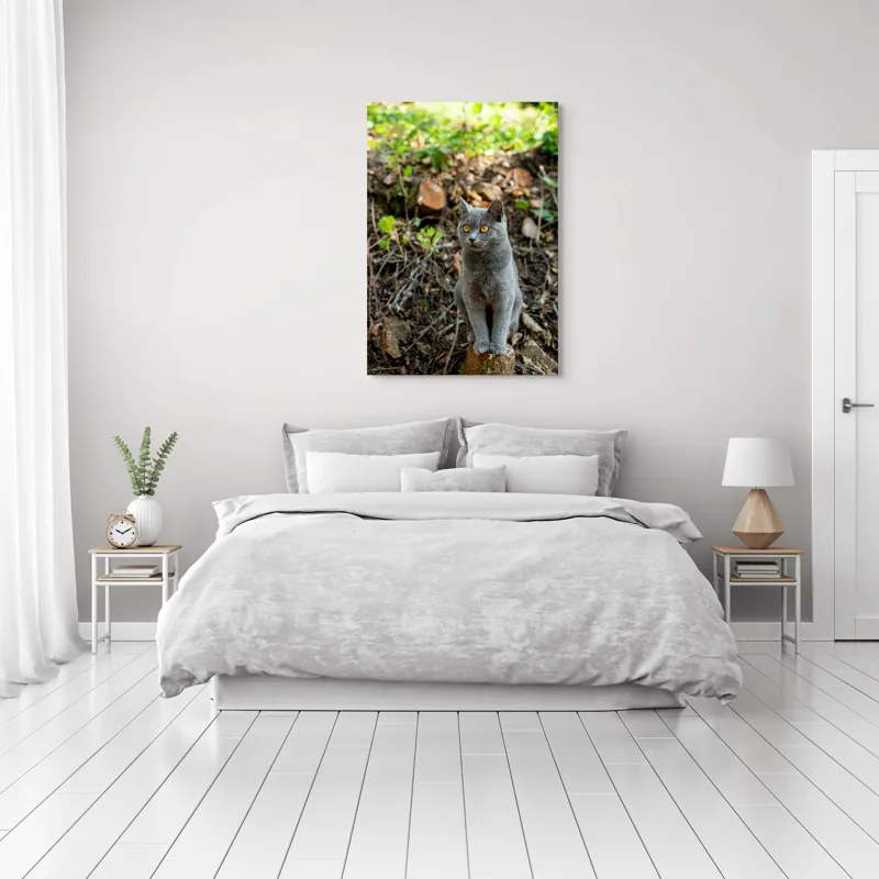 Tablou Canvas, "Pisică gri în pădurea însorită", Pisică, Gri, Ochii-Maronii, Pădure, Natură, Curiozitate, Postură, Blană-Moale, Lumina, Fundal-Verde., 70 x 100 cm – poza 3