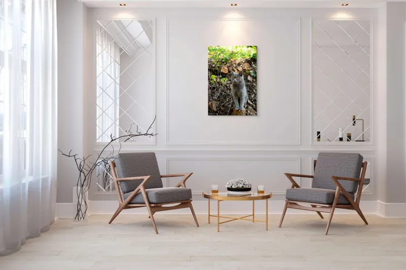Tablou Canvas, "Pisică gri în pădurea însorită", Pisică, Gri, Ochii-Maronii, Pădure, Natură, Curiozitate, Postură, Blană-Moale, Lumina, Fundal-Verde., 70 x 100 cm – poza 8
