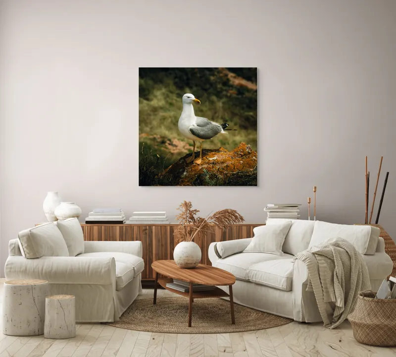 Tablou Canvas, "Pescărușul pe stânca ruginită", Pescăruș, Stâncă, Verdeață, Serenitate, Natură, 100 x 100 cm – poza 3