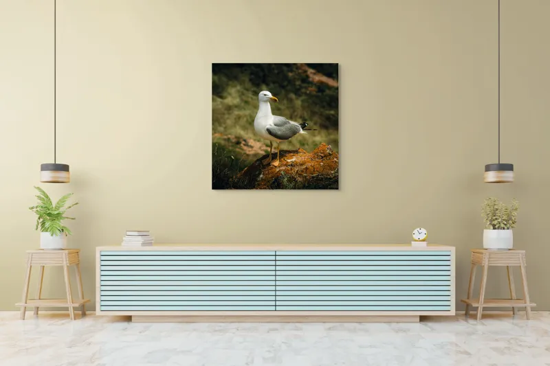 Tablou Canvas, "Pescărușul pe stânca ruginită", Pescăruș, Stâncă, Verdeață, Serenitate, Natură, 100 x 100 cm – poza 5